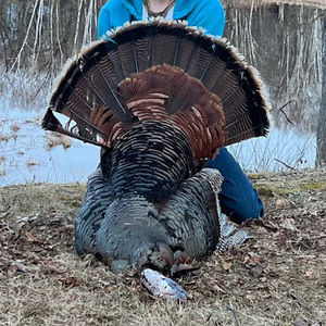 Meet your Posher, Austin